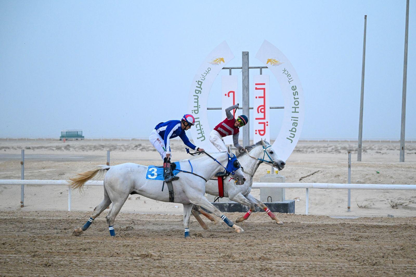 انطلاق ثاني سباقات موسم الخيل بميدان فروسية الجبيل 1447هـ