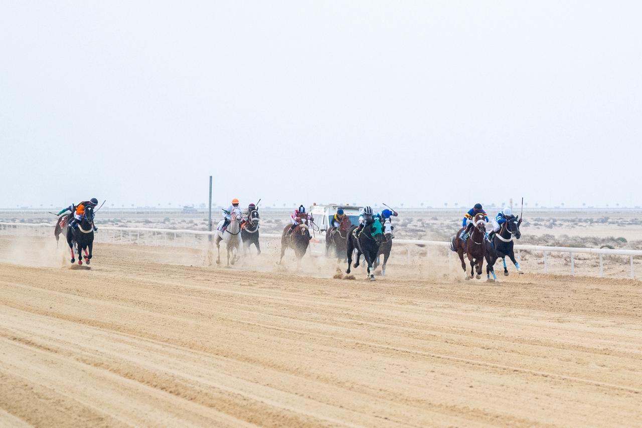 انطلاق أولى سباقات موسم الخيل بميدان فروسية الجبيل 1447هـ